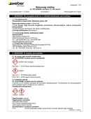 SDS SPR300 webersan presto 300